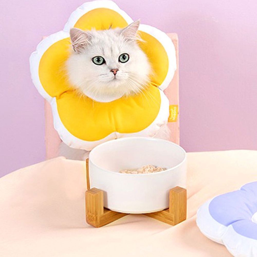 반려동물 쿠션 키티요요 일상 넥카라 M 1P 수술 보호