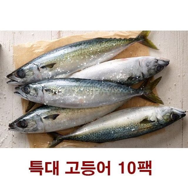 명절선물 설 최상품 명절 물 바다 순살 제주