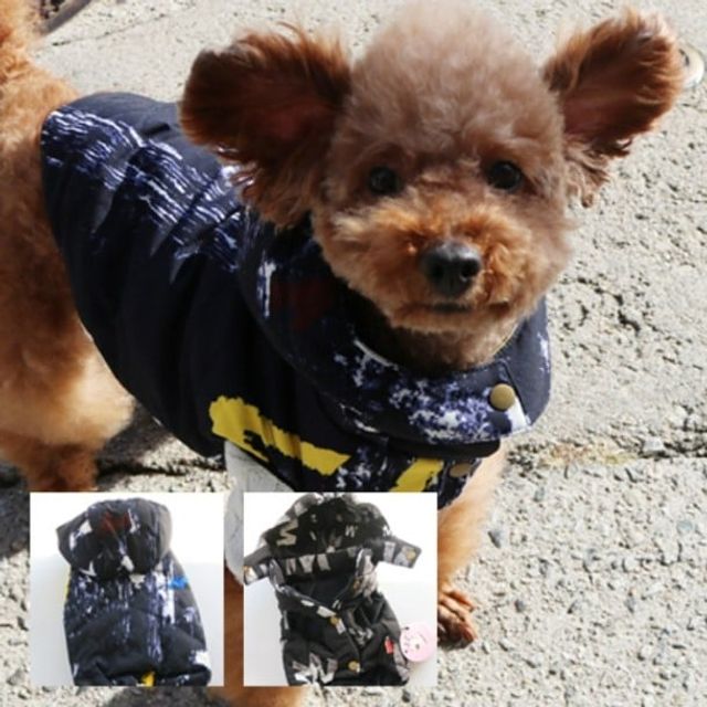 데일리펫용품 B0ED패턴패딩