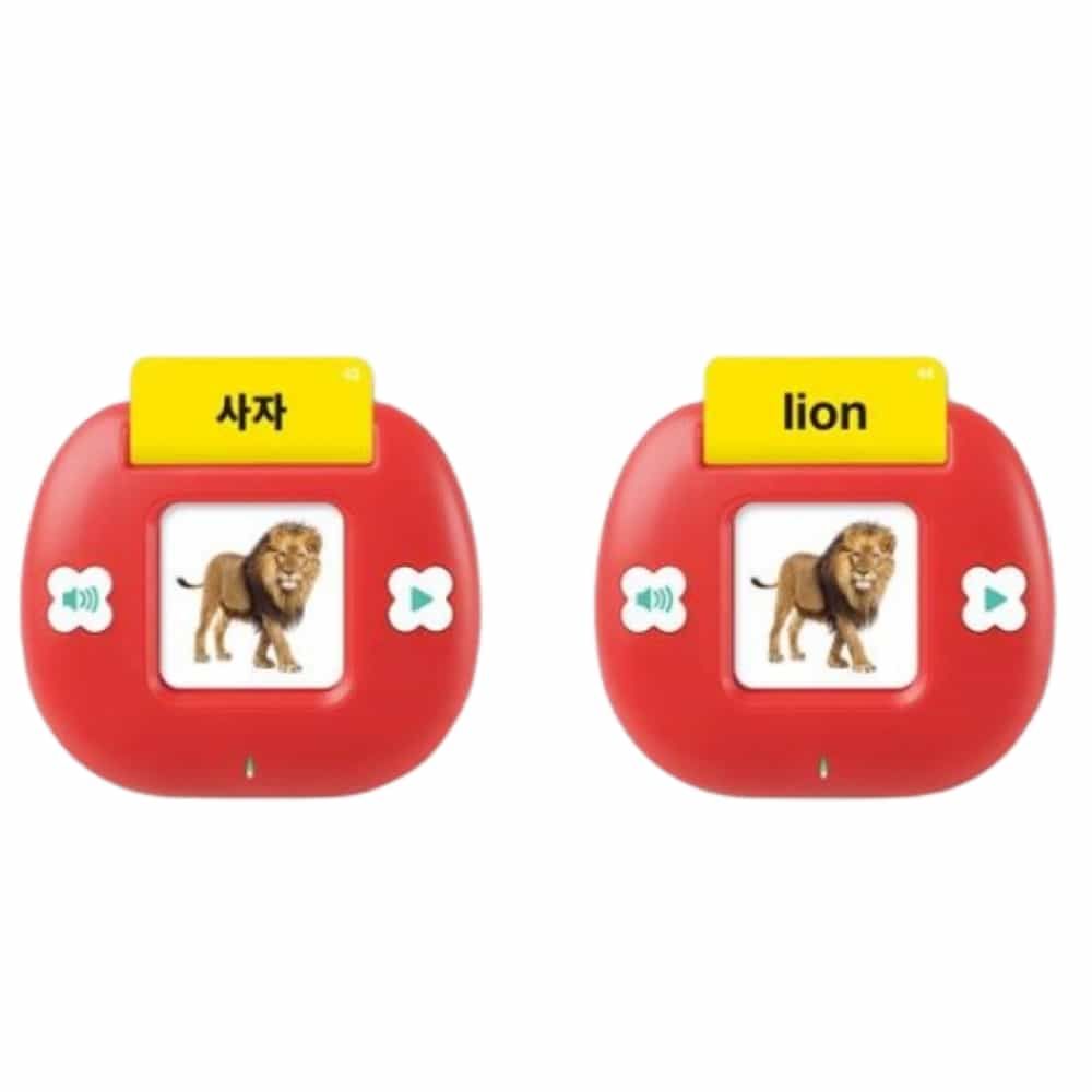 빅 튤립 사운드 카드 동물 영어낱말카드 한글낱말카드