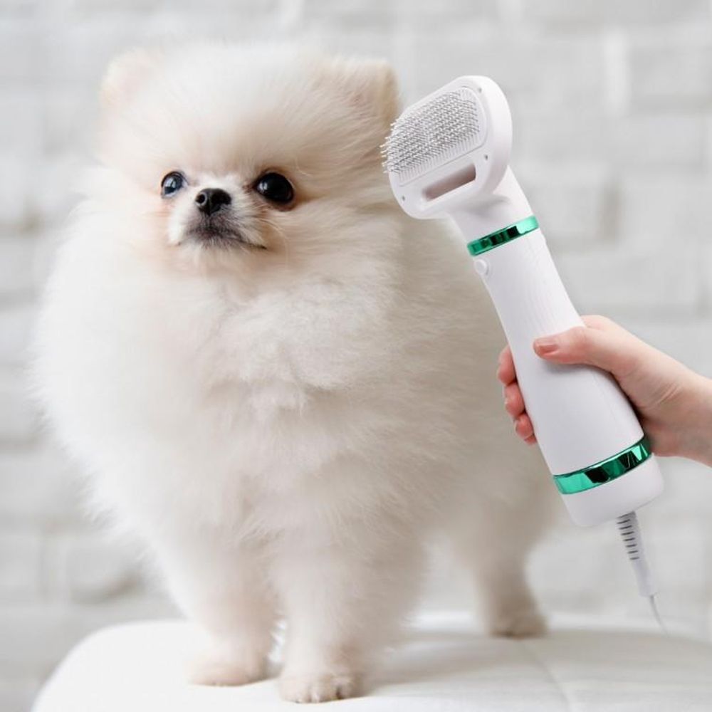 고양이 브러싱 반려 애견 강아지 털건조 그루밍 반려