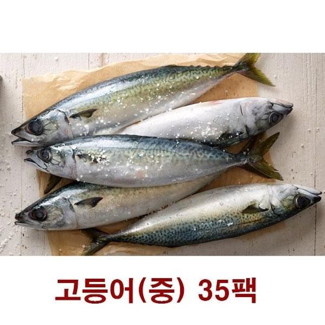 명절선물 설 호 순살 바다 제주 명절 물 고등어