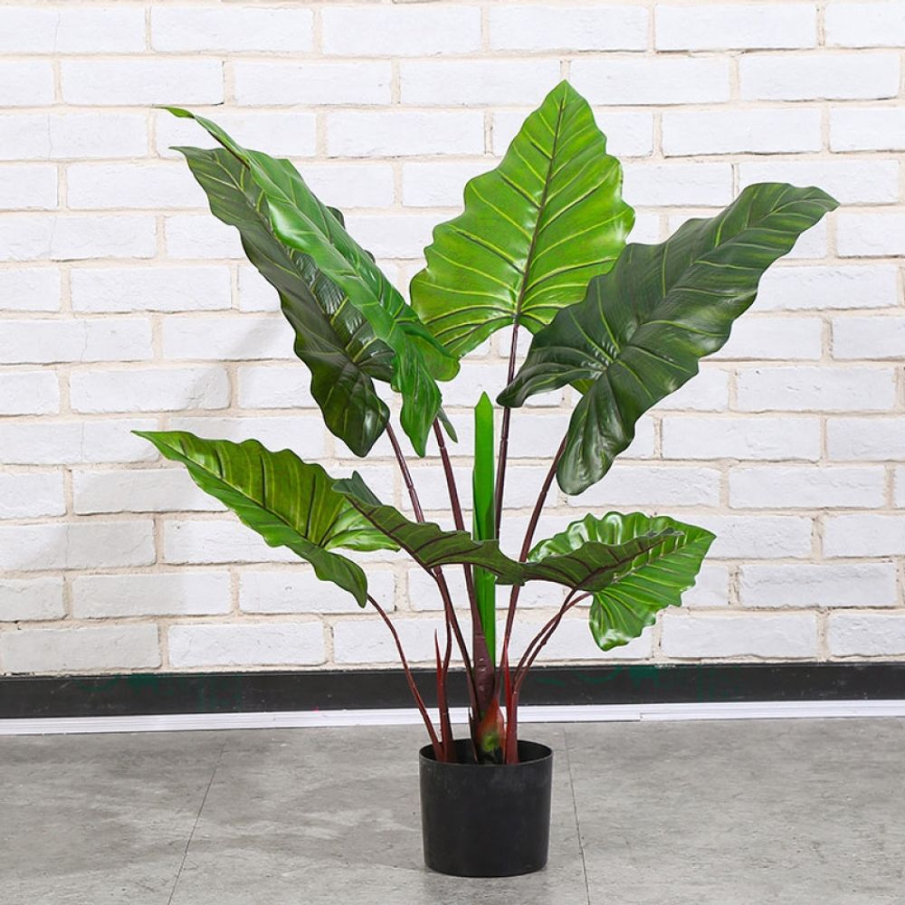 칼라테아나무 80cm 조화