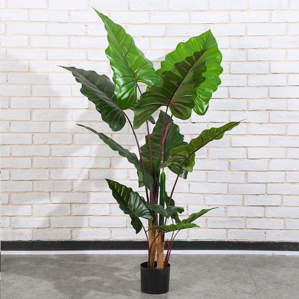 칼라테아나무 120cm 조화