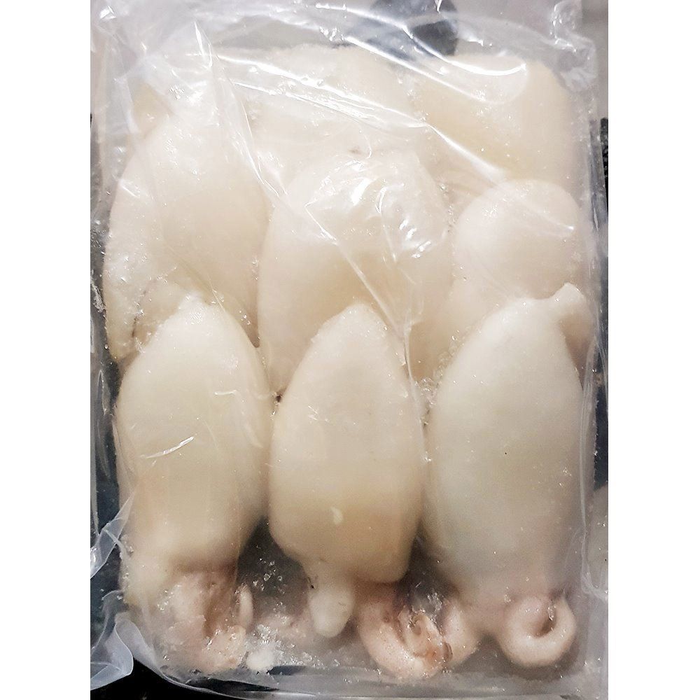 갑오징어(20-40 200g)X15