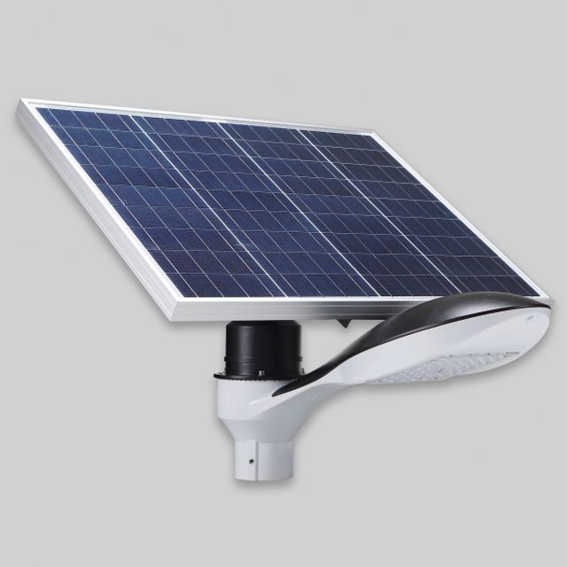 태양광 LED 정원등 50W급 돌고래 주광