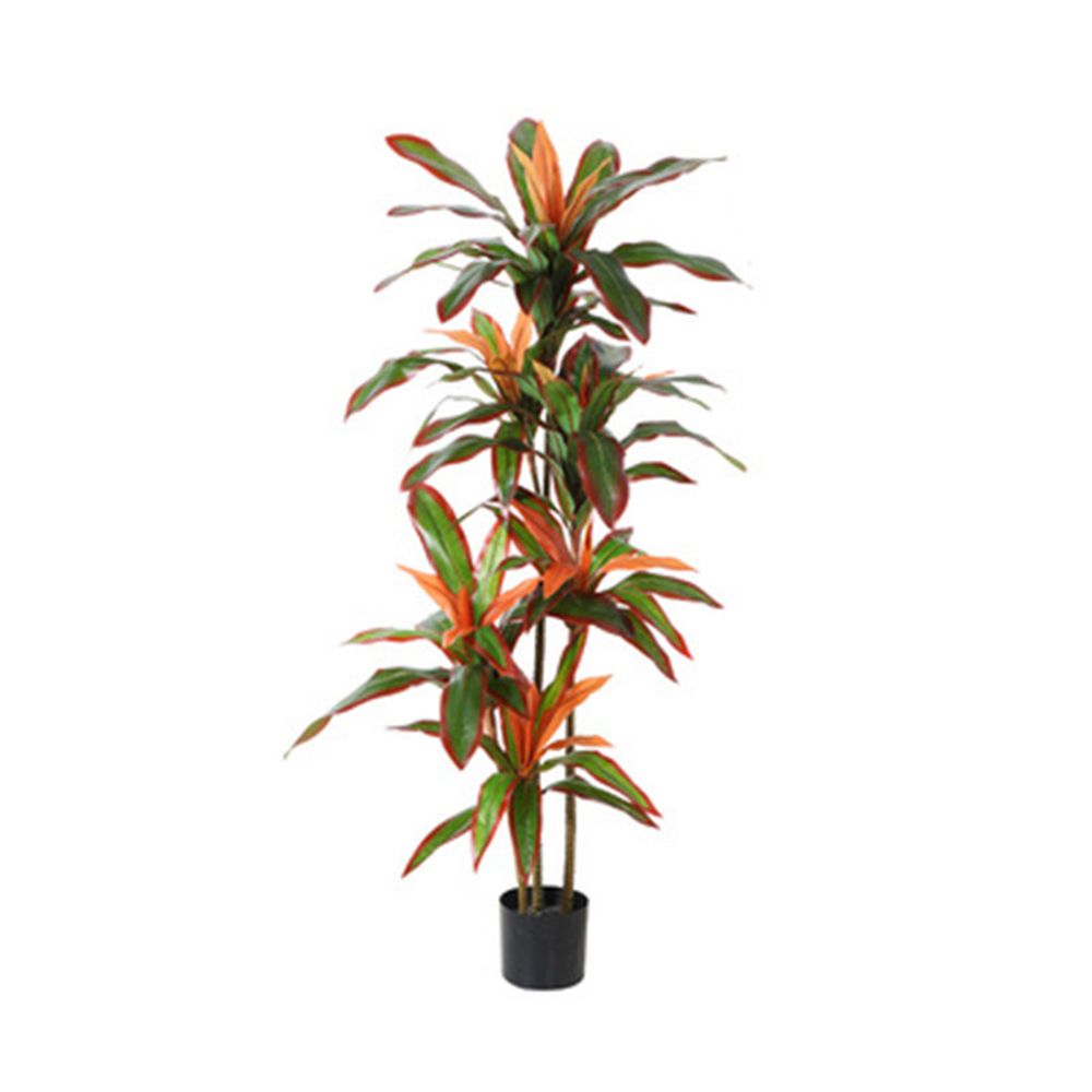 조화 150cm 드라세나