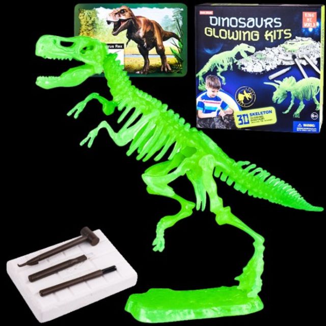 DINOSAUR GLOWNG KITS_T-REX NO.801 야광공룡화석발