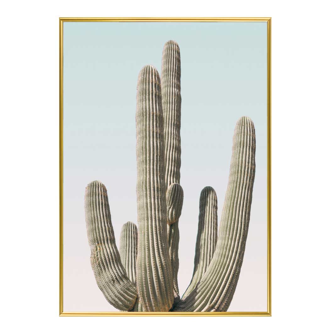 슬림 인테리어액자 Saguaro A2사이즈