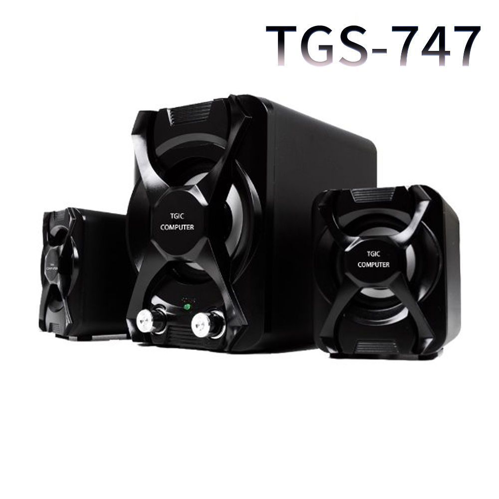 TGS 2.1채널 우퍼스피커 TGS-747