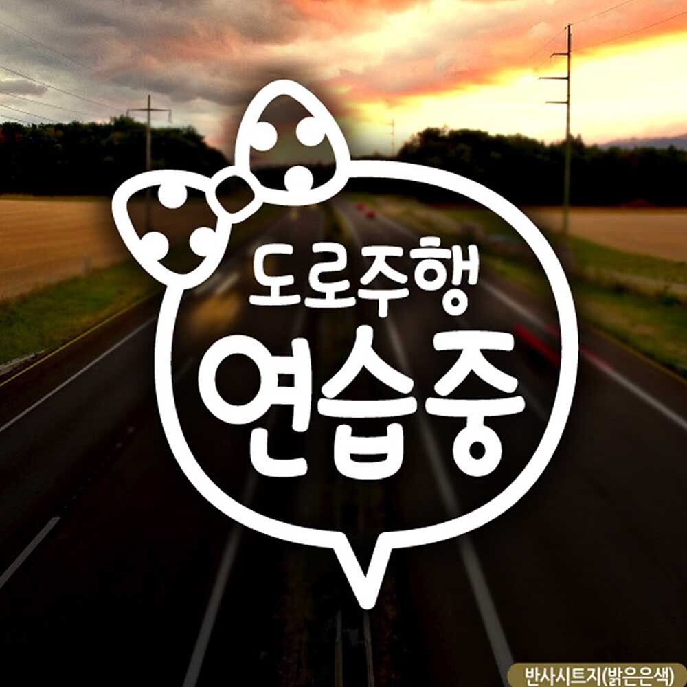 오픈마켓 우리들쇼핑,자동차스티커 도로주행연습중 초보운전 반사시트지