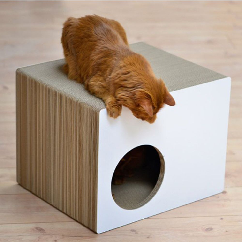 고양이 큐브 박스 스크래처 프레디아 에크하우스 1P