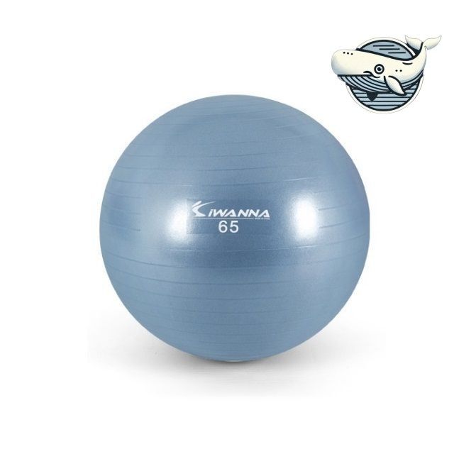 운동용 헬스 짐볼 65cm 라벤더블루 홈트