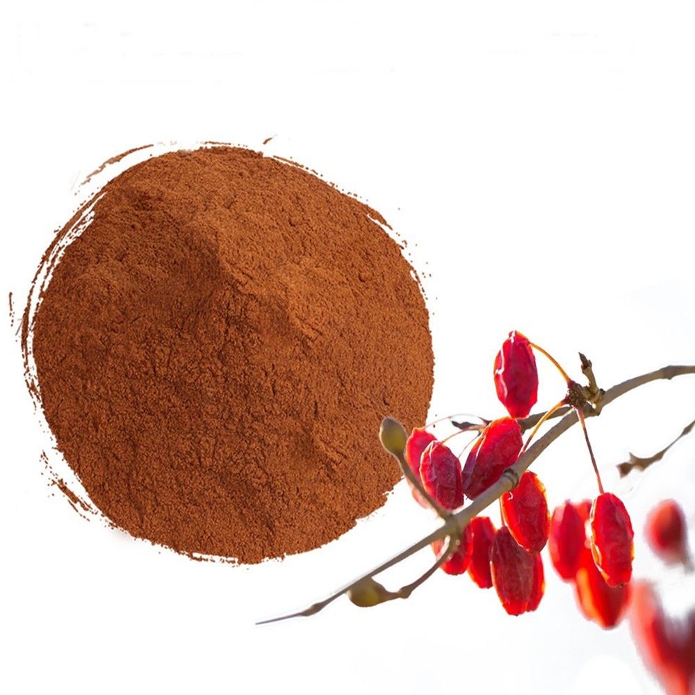 산수유추출분말 1kg