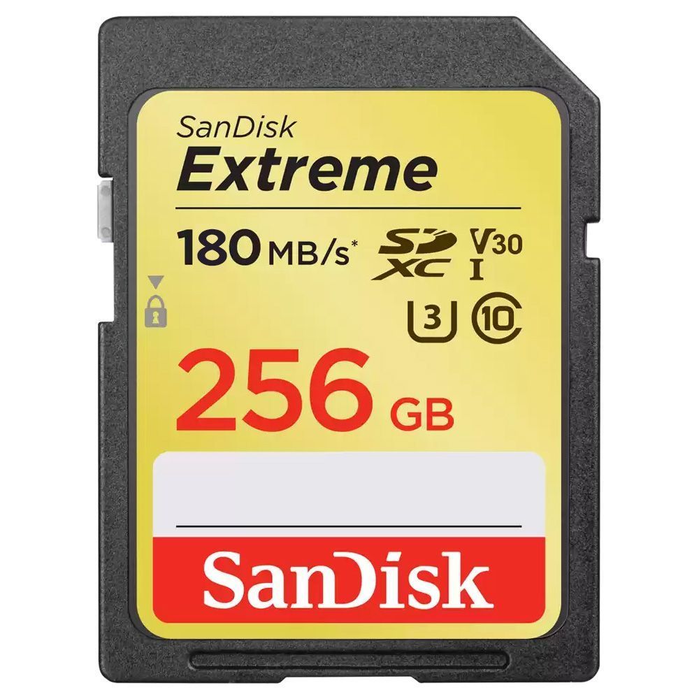 SanDisk Extreme SD UHS-I 카드 (256GB)