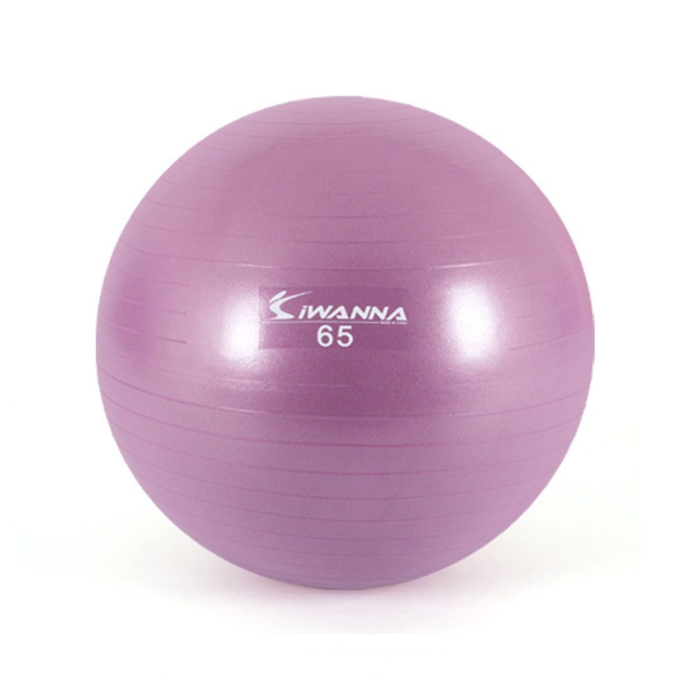 짐볼 아이워너 65cm 라일락