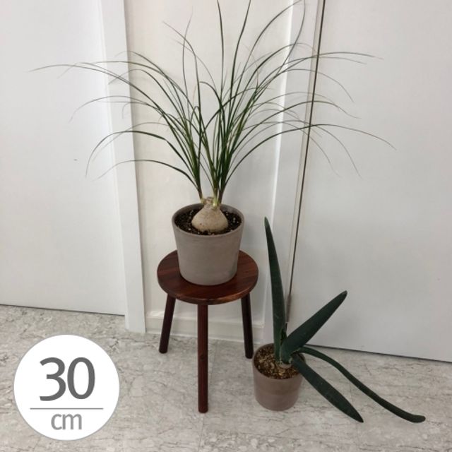 원목 화분 받침대 우드스텐드 30x40cm 스툴