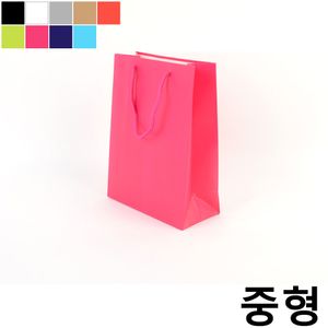 아이티알,NE 컬러 무지 심플 종이 쇼핑백 중형X20개 선물백 포장백