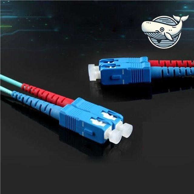 고속 데이터전송 광패치코드 10G 80M