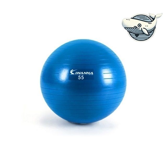 운동용 짐볼 55cm 블루 스트레칭 홈트레이닝