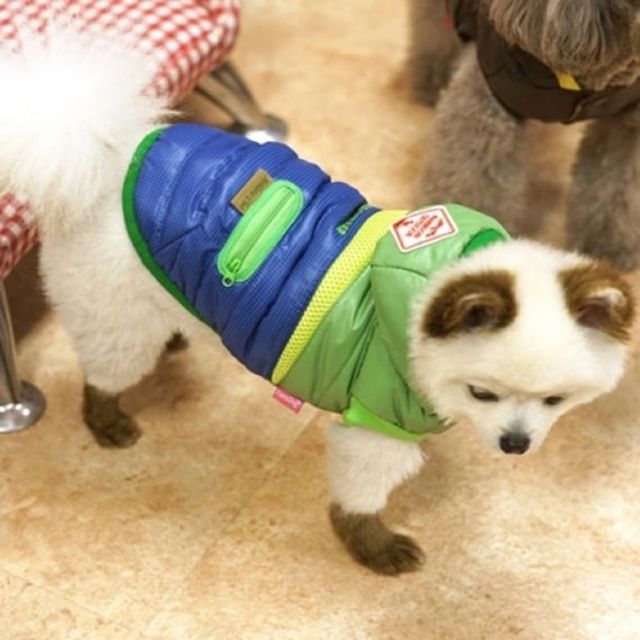 (패리스독) 강이지 고양이 트라이앵글 패딩