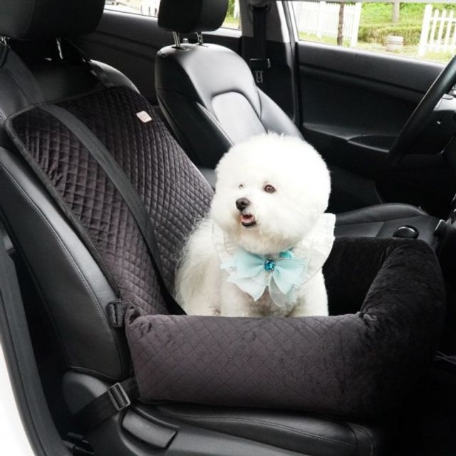 강아지 카시트 소형 견주부 엉덩이카시트