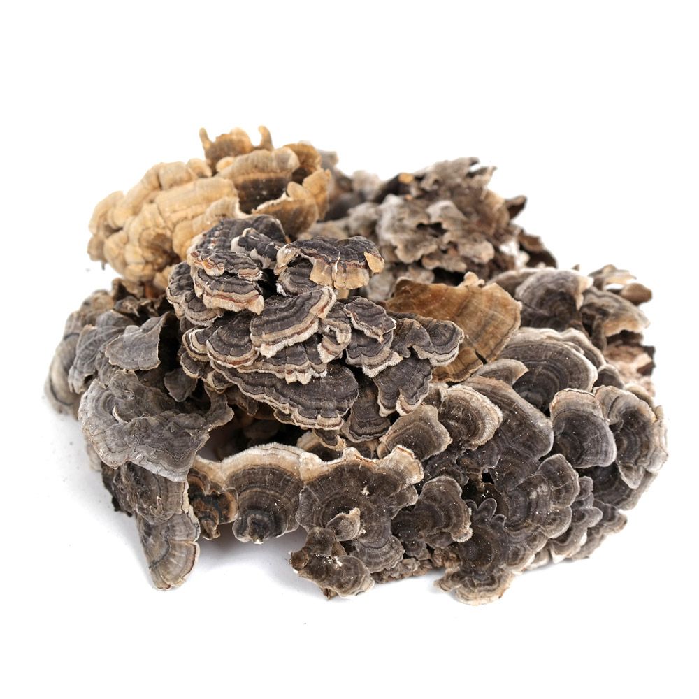 국산 운지버섯 300g 자연산 구름버섯