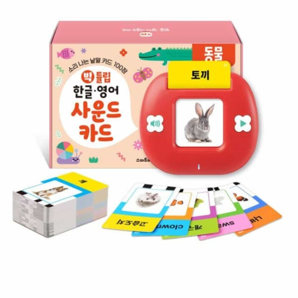 튤립 사운드 카드 우리집 영어낱말카드 한글카드