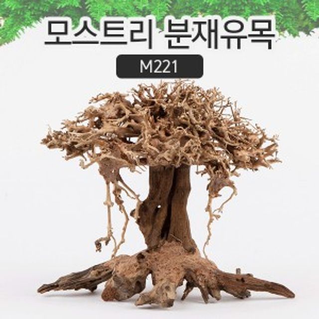 어항 분재유목(M) 수조 물고기 은신처 나무 장식용품
