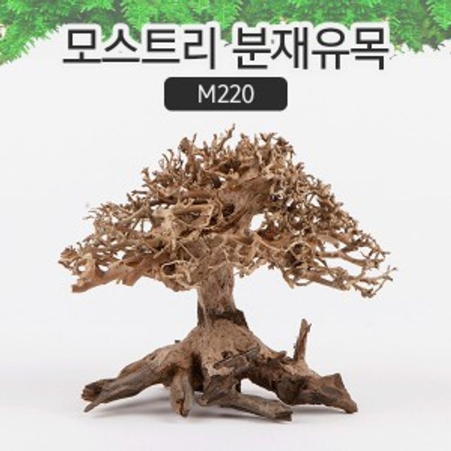 어항 분재유목 (S) 수조 나무 인테리어 수족관 장식