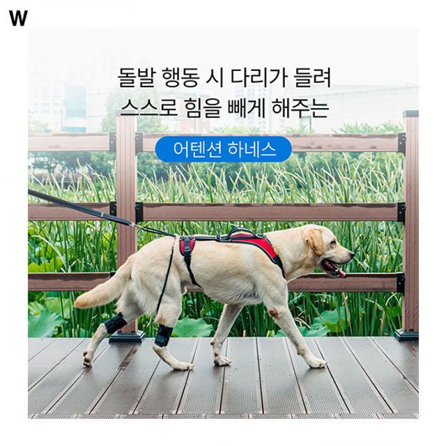 애견아나프니 어텐션하네스