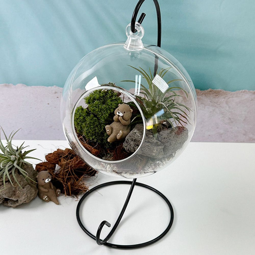 이오난사 투명 행잉 수달 쉼터 비바리움 만들기 키트