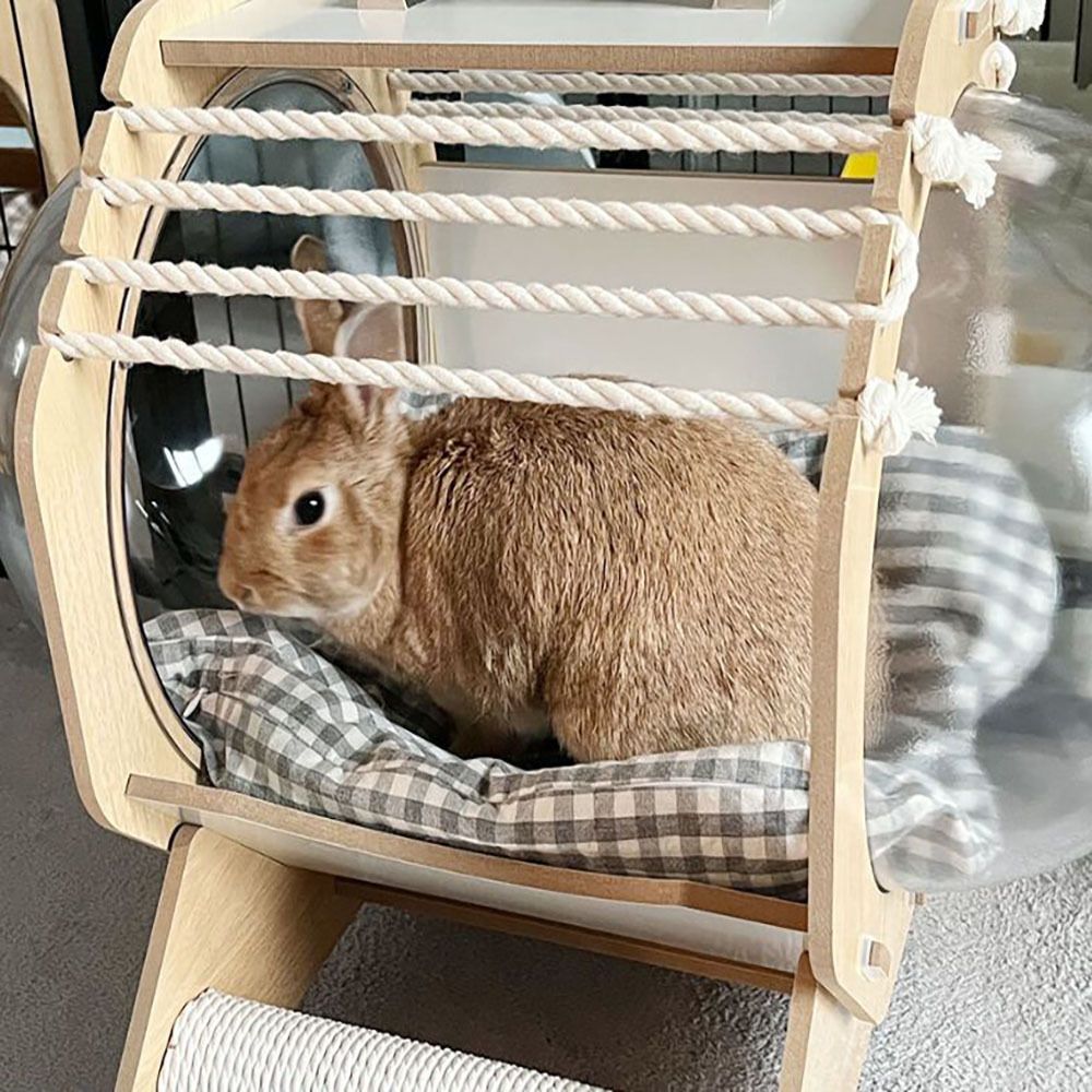 쉼터 냥이침대 애 원목고양이집 캡슐 원목 고양이