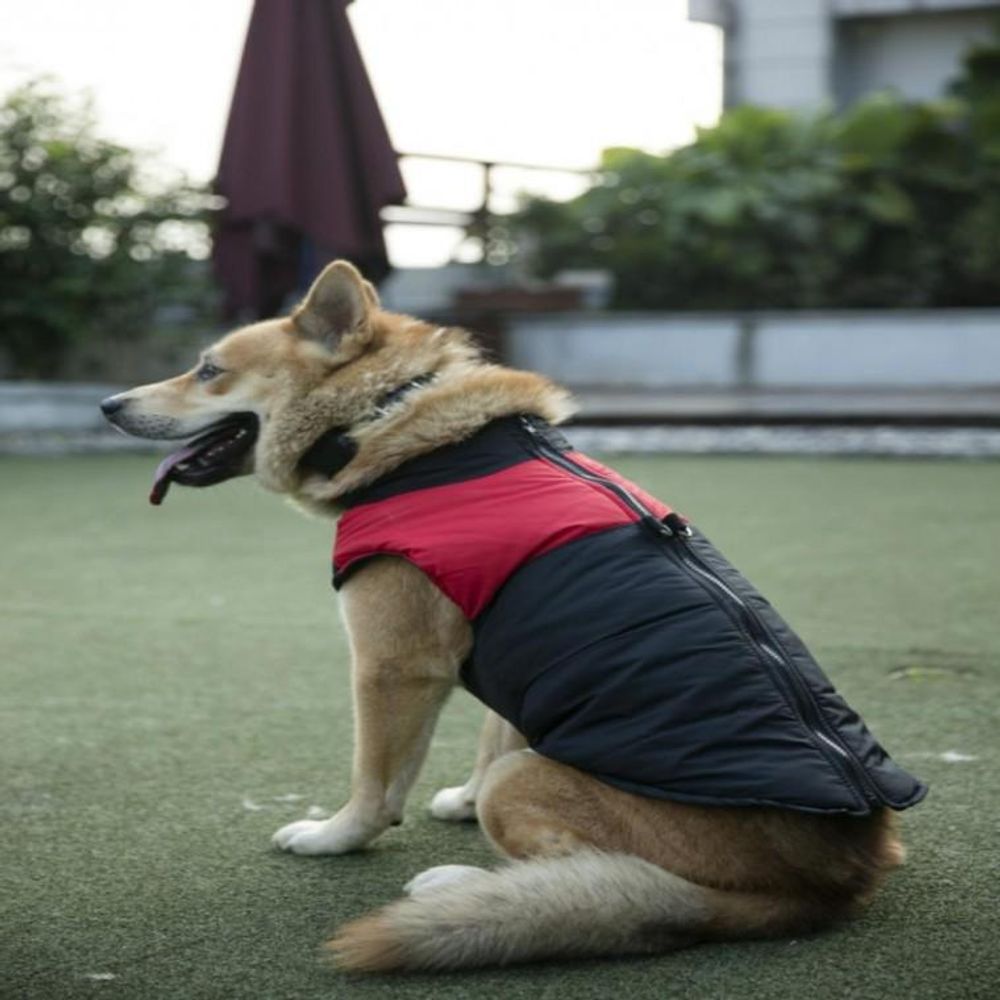 강아지겨울조끼 반려견 소형 중형 대형견겨울옷 애견