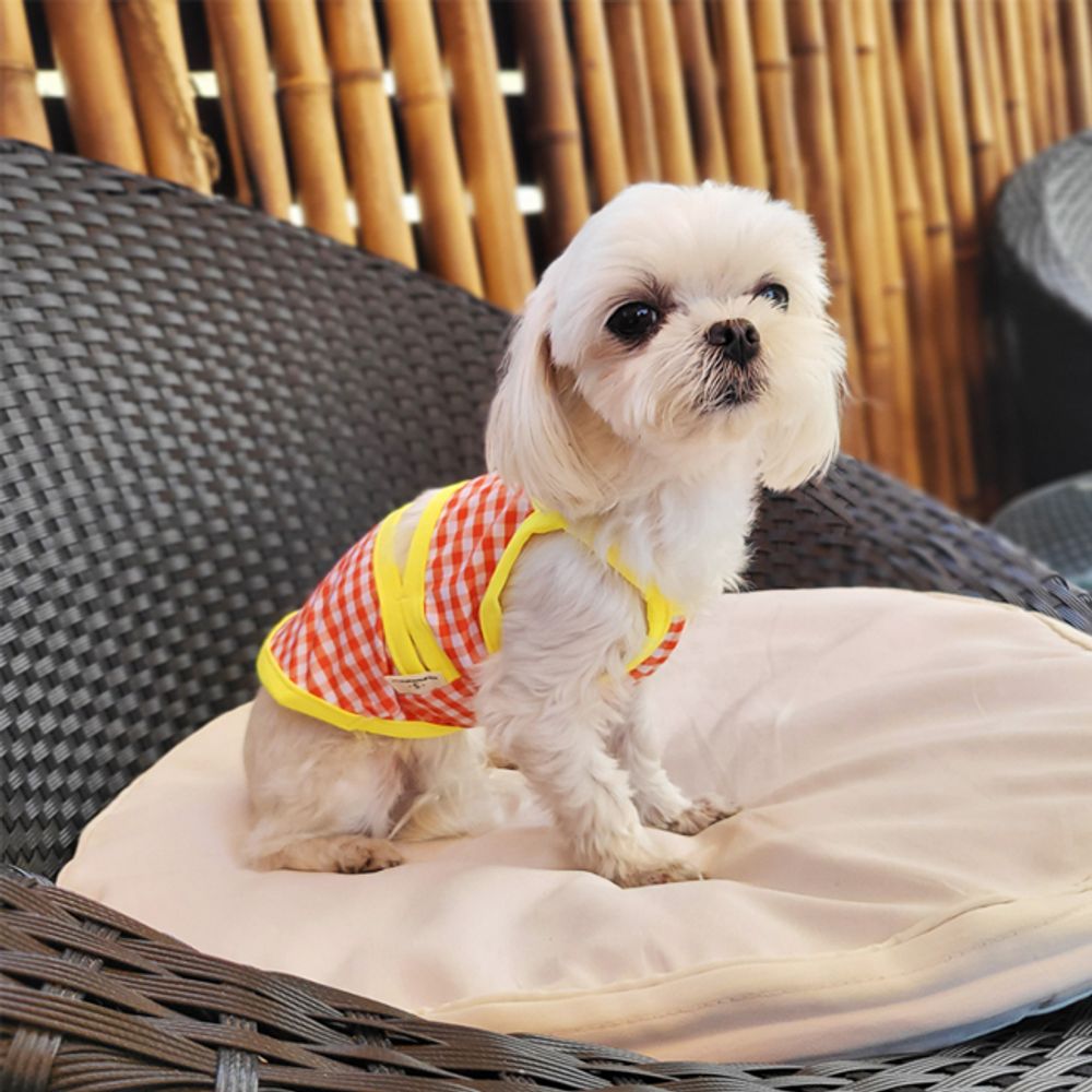 강아지 비키니 수영복 2XL 1P 반려견 여름 물놀이