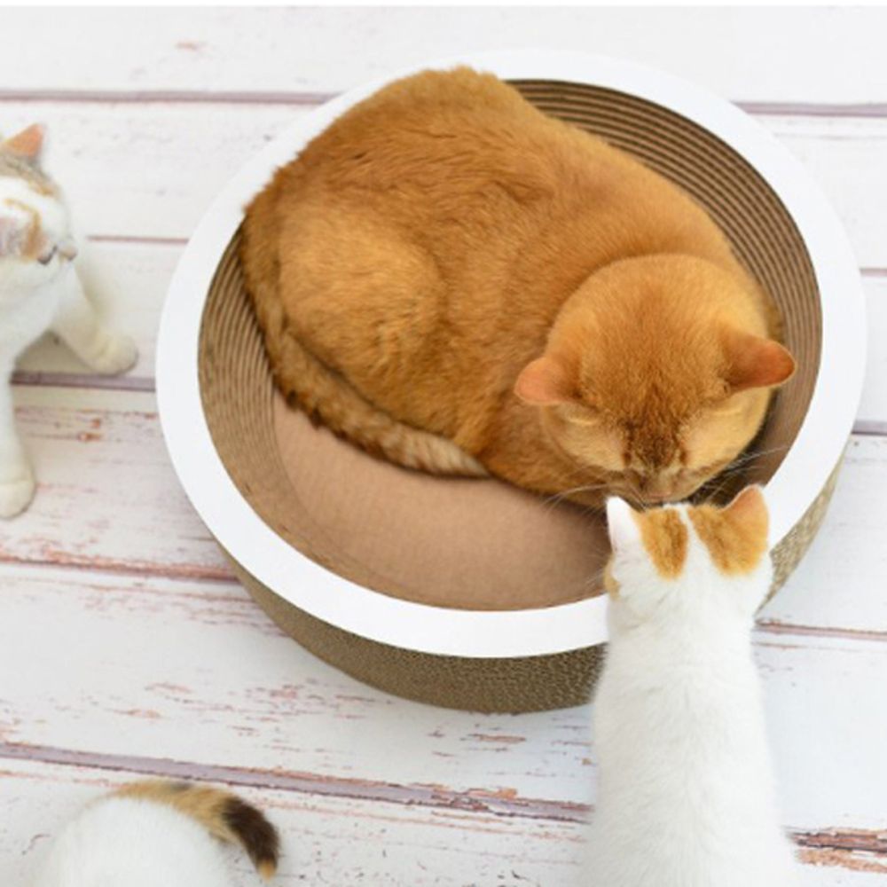 고양이 원형 쿠션 스크래처 라쿠프 40-11 1P 발톱
