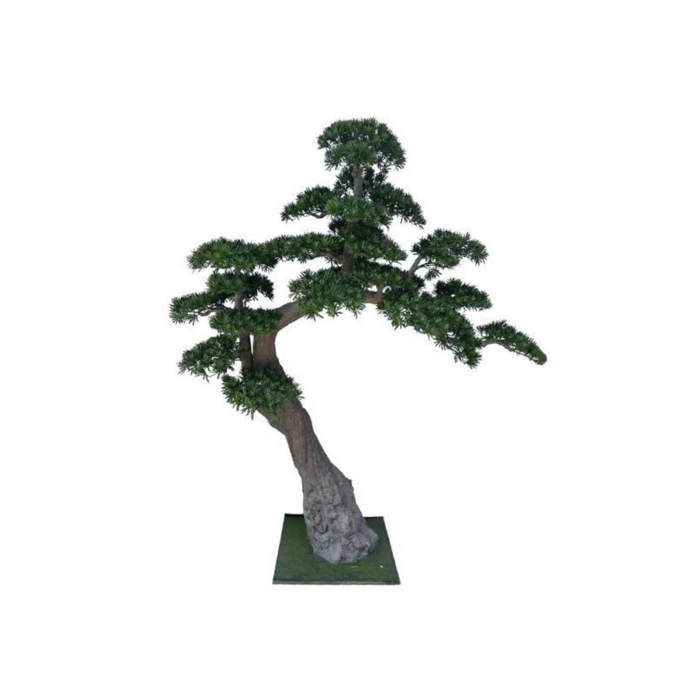 조화나무 나한송 대형 220cm