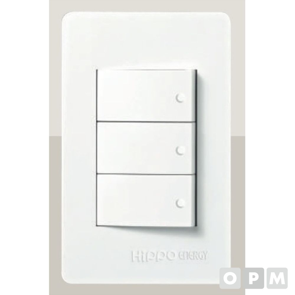 와이드3구스위치 DS-1300 10EA