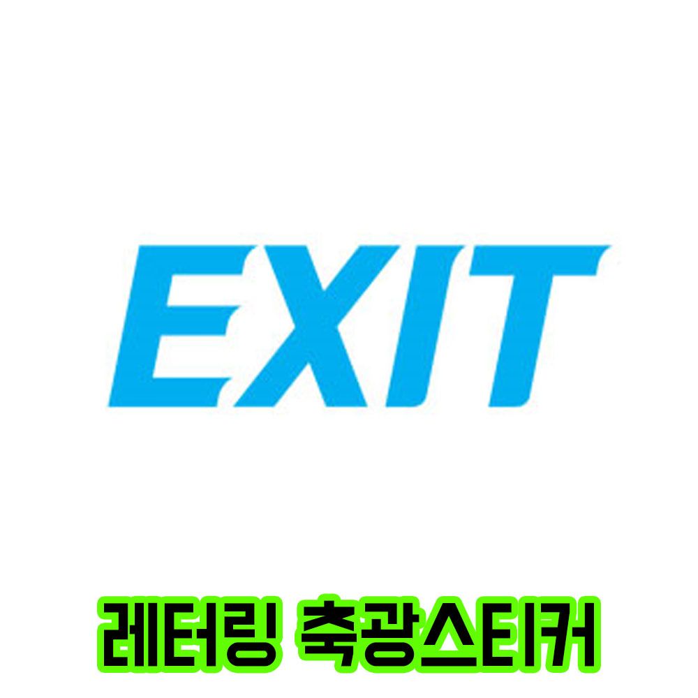 DIY 축광스티커 레터링 컷팅상품 E타입 EXIT 250x80