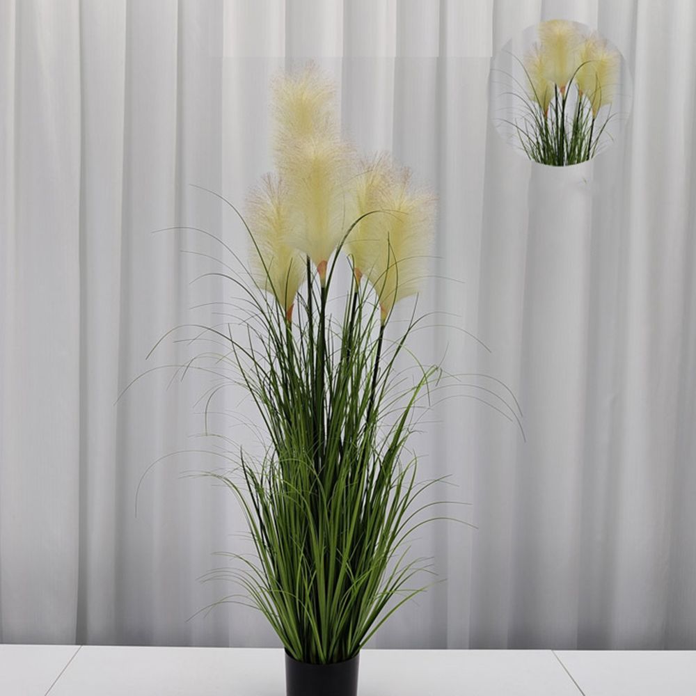 셀로아나 팜파스 조화 120cm