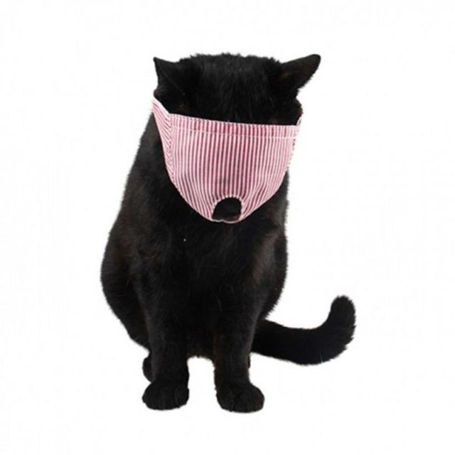 마스크 고양이 안대 크 미용 관리 눈가리개
