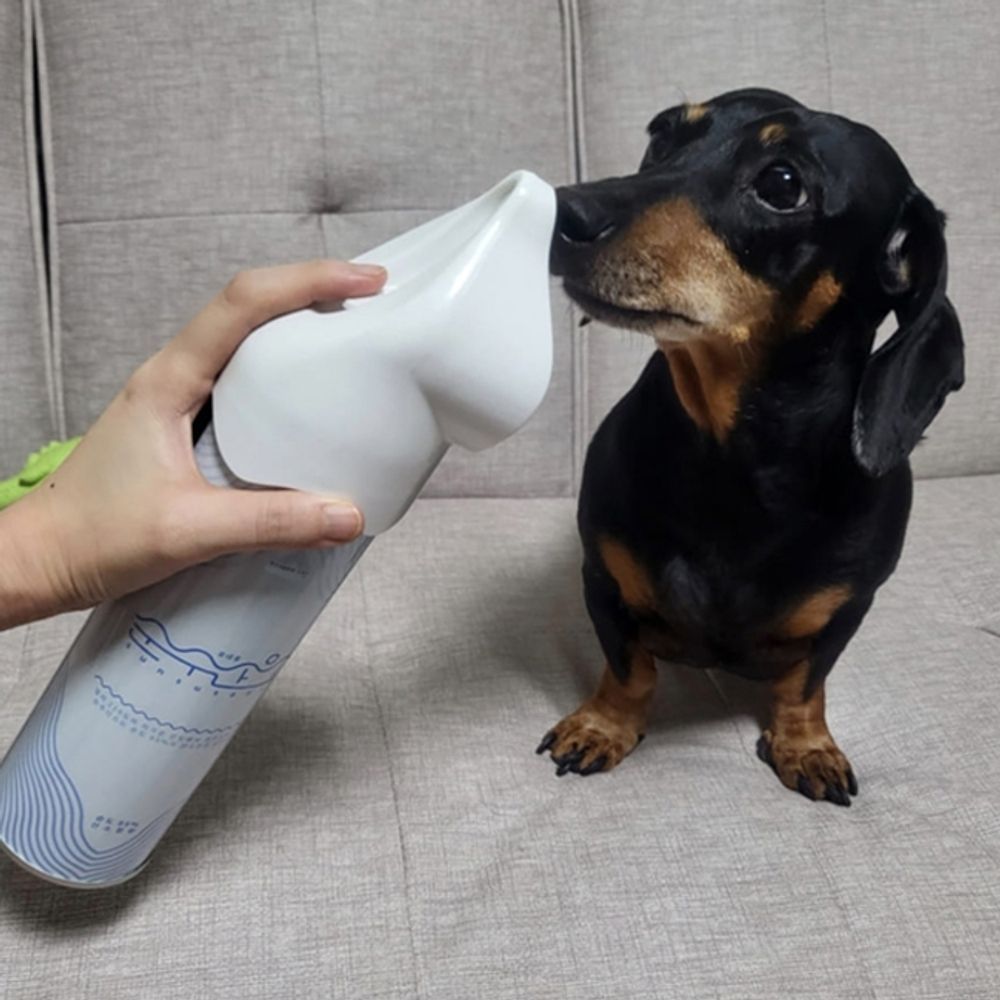 반려동물 산소캔 휴대용 일상 655ml 1P 호흡 응급처치