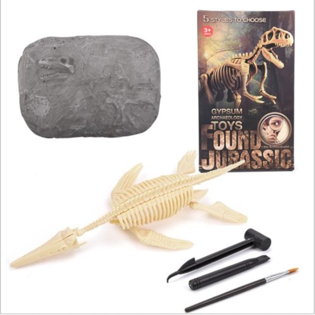 DINOSAUR EXCAVATION KITS_고래 NO.507 공룡화석발