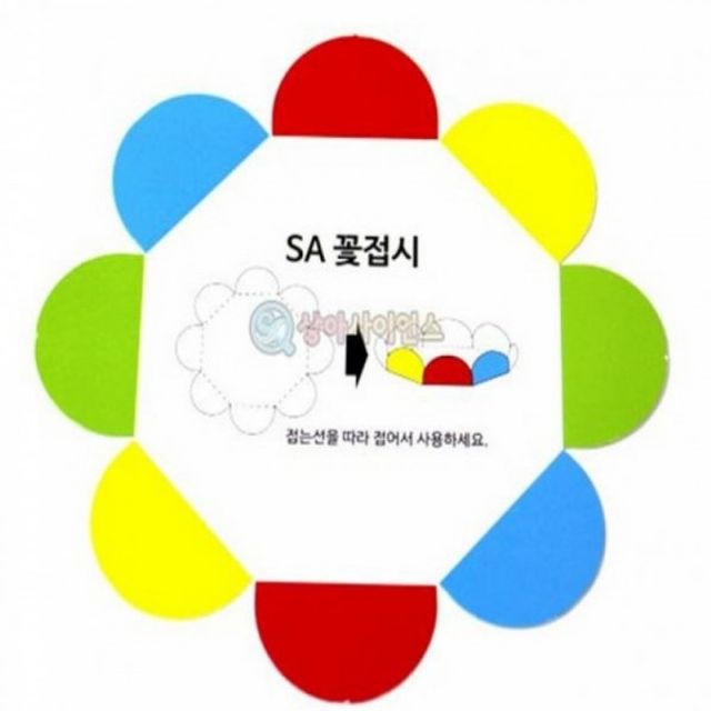 접시용품점 꽃 개입 접시