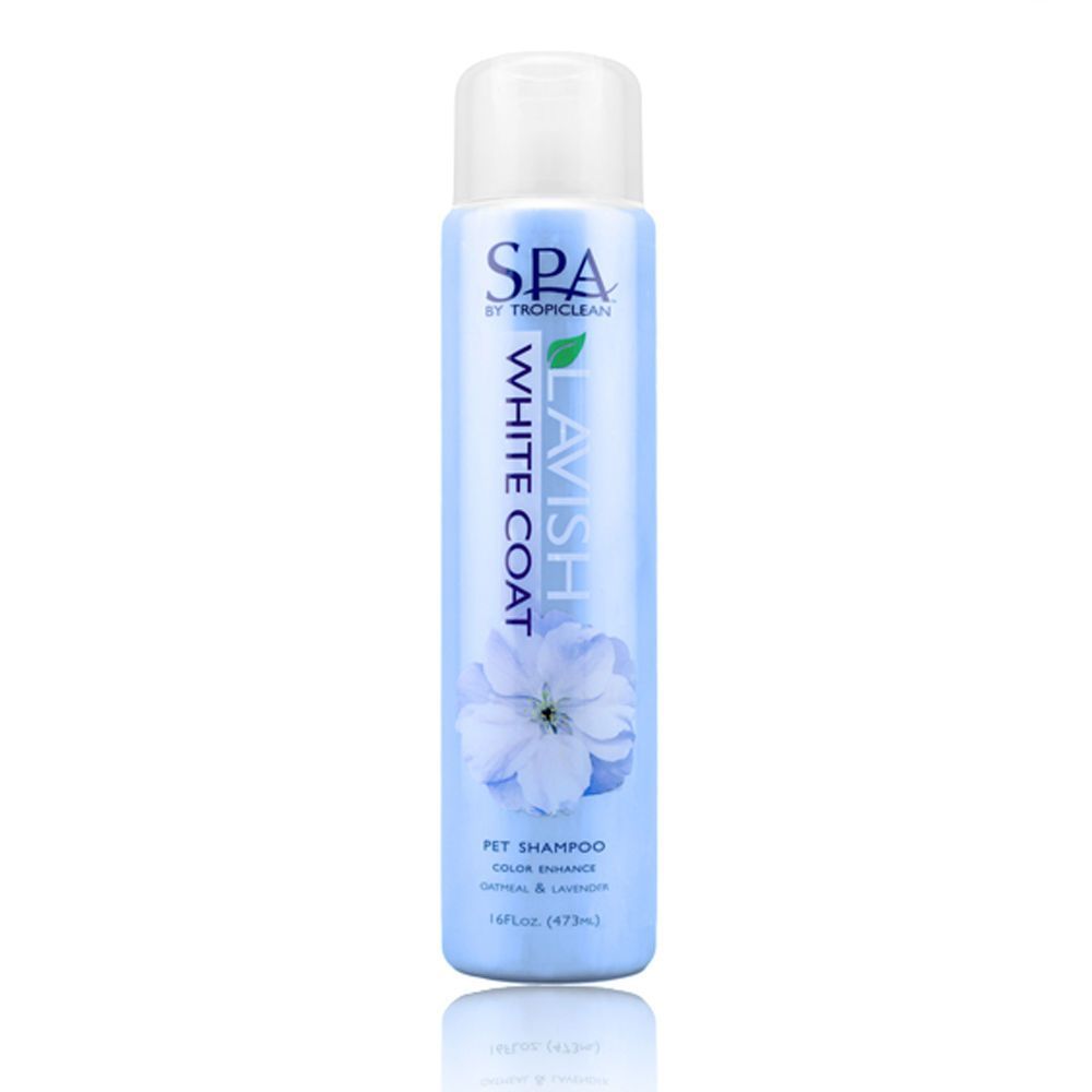 스파 화이트 코트 샴푸 473ml 백모전용 16oz