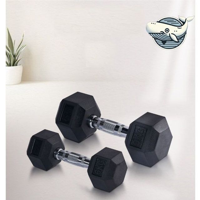 고무 코팅 헬스 덤벨 10kg 초보자용 아령