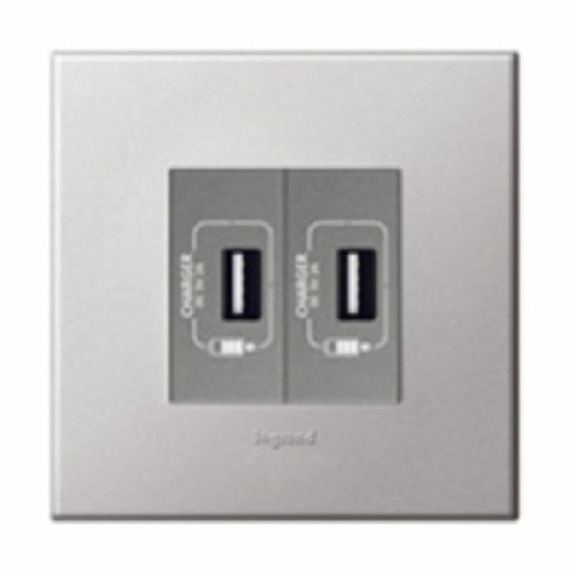 아테오 유럽형 소프트알루 USB 2구(2M) 르그랑