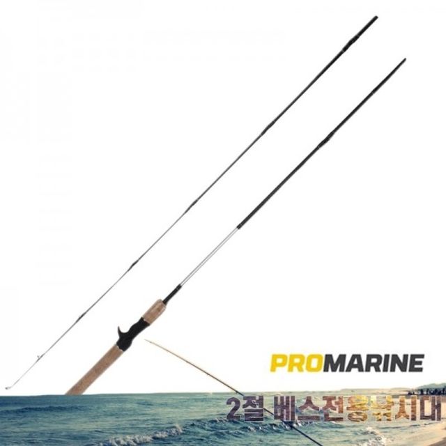 배 농어 PROMARINE 하이카본 602CM 고급 베스전용 2단