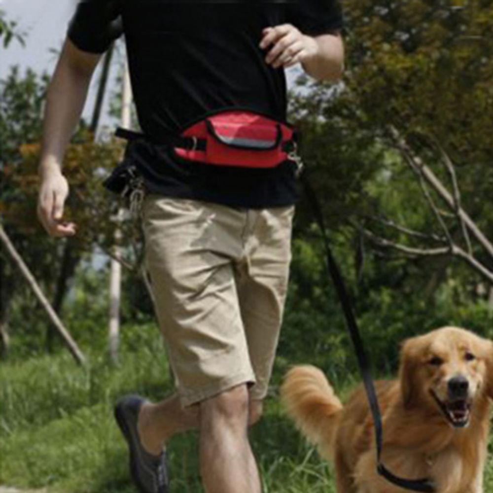 강아지 애견 산책 배변 힙색 간식주머니