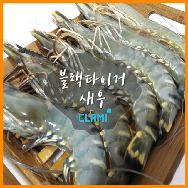 냉동 블랙타이거새우 500g